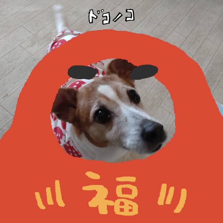 536e6636 52a0 429c aaa1 1846e42b4ac0 1772065432669