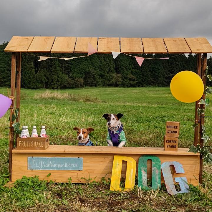 536e87e1 68c4 403f b0d1 f328c2b2235b 1633759814209