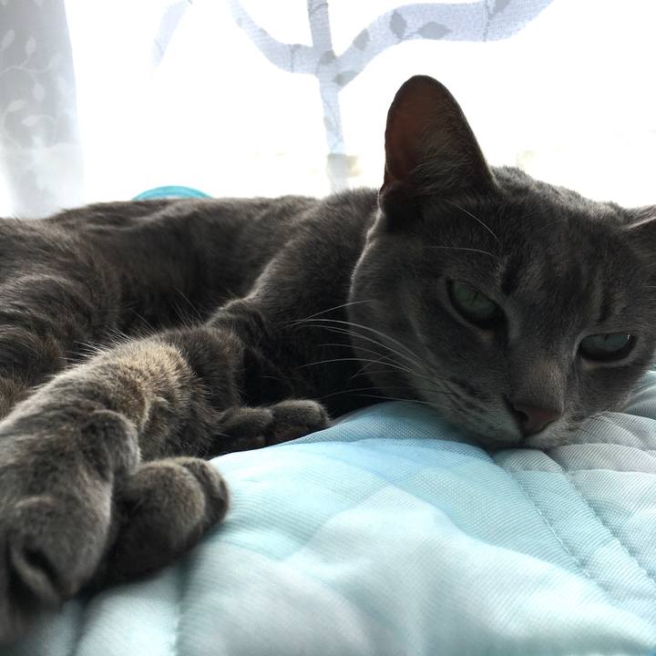 536e8e16 278a 49c4 a454 552ce02a5f26 1592626549728