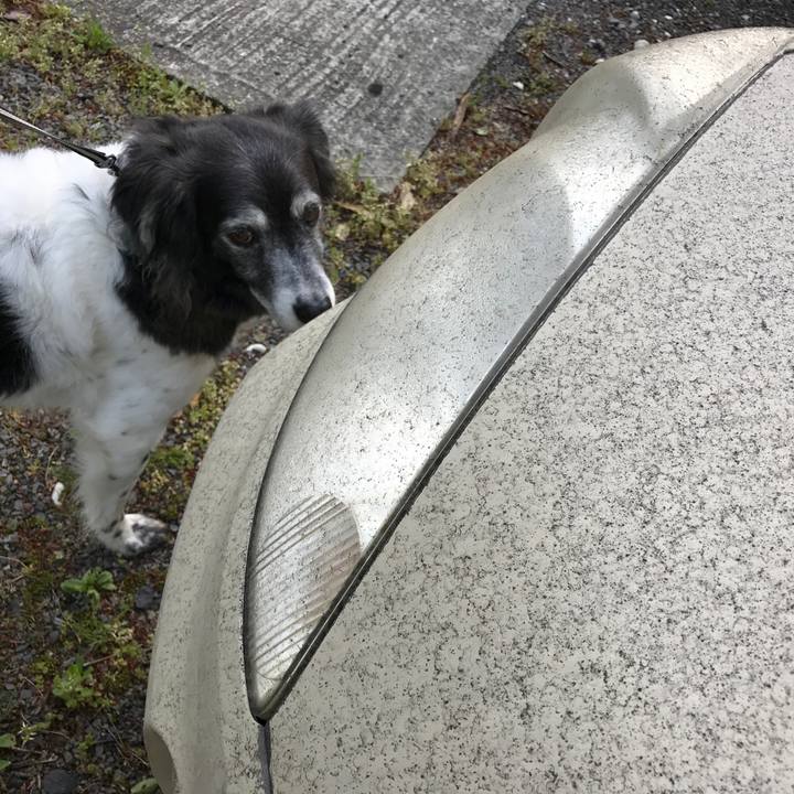 536e94bd 25ce 479e 9ab6 cf7e734d304a 1556948518078