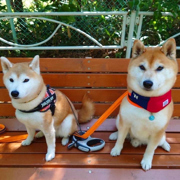 536eeedf 53bd 4a4e 9b5f ba58f227a89a 1686454972183