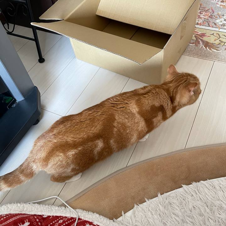 536ef60b c064 40fd 98b9 754e60e9544d 1615714085799