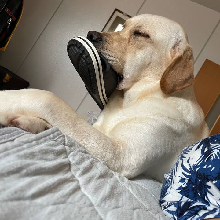 536f0c17 f78e 4aa5 afb7 9990e8628145 1658624508396