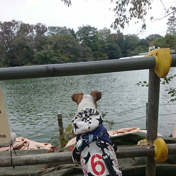 536f0d59 01db 4b1b 8313 35aa2d9d912c 1541297697917