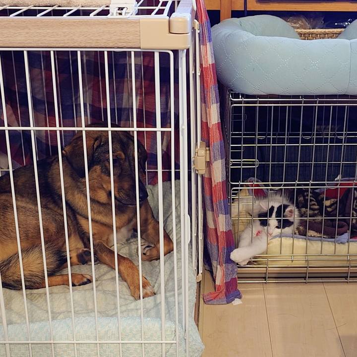 536f1d5a e5f2 4dcd 96d4 8e03b4a3601e 1759795592508