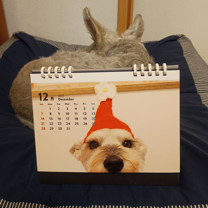 536f2a61 2a21 4952 95ae bec2f1cc45f4 1765889450329