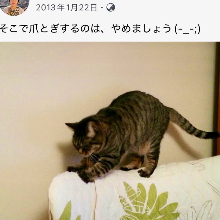 536f3c03 434c 4906 9686 daeb6aba2f67 1769071057448