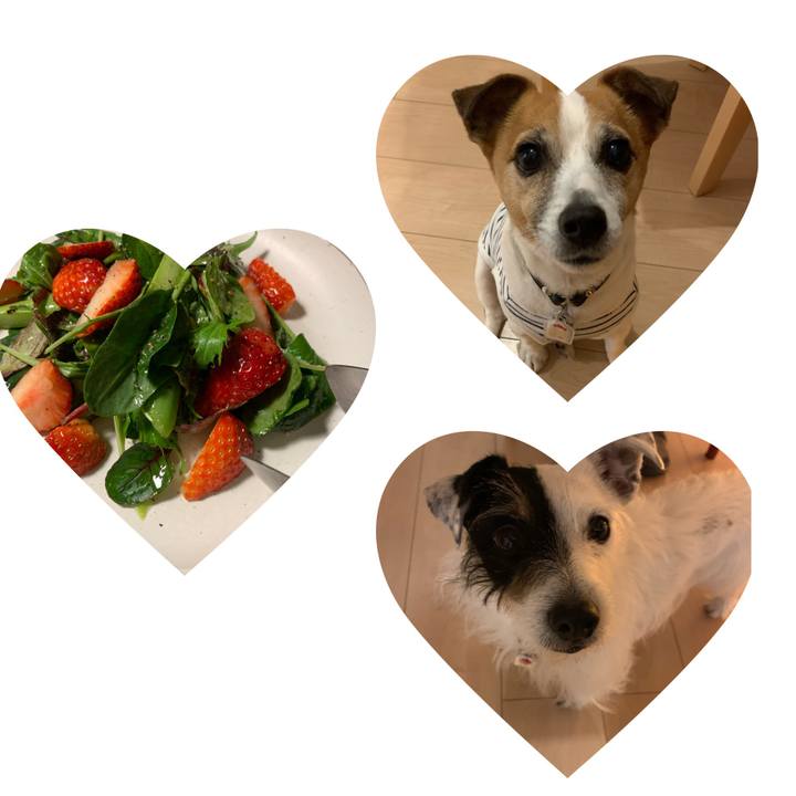 536f5833 094c 40dd 92fd f67376dd97e9 1614161358498