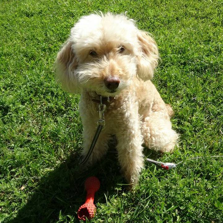 536fbf5b d32f 4e98 8fac efd4c39b02f9 1557931444409