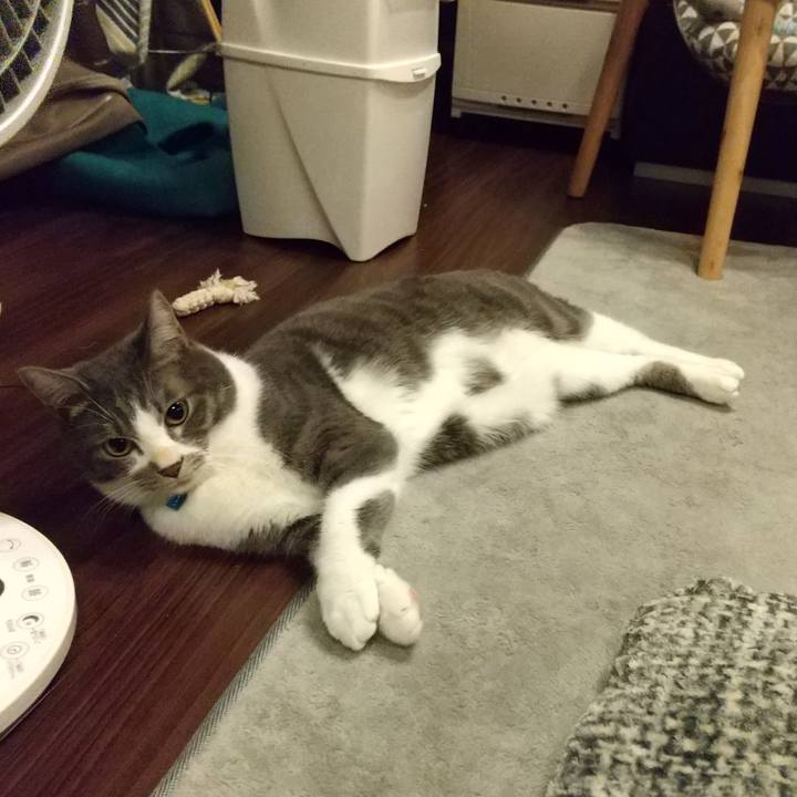 536fd07e 47a6 4d99 ad99 abe808c66f93 1610289904218