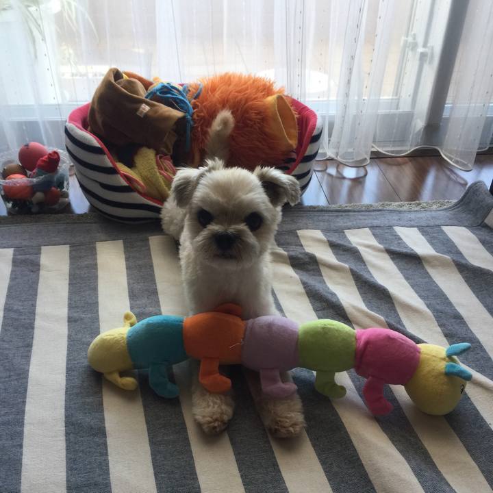 536ff587 4cb4 4c09 9acf 9b7f48d32ed3 1536551336781