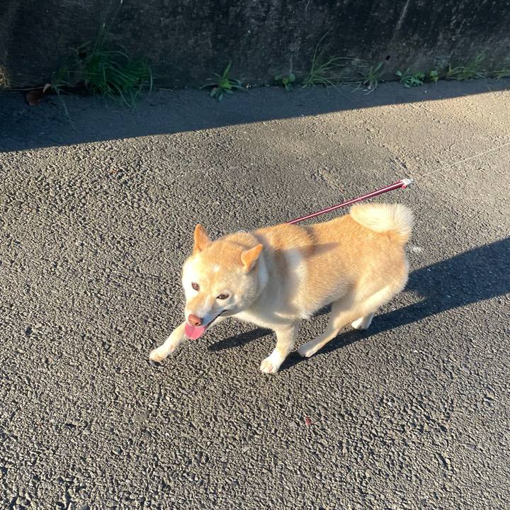 53701f16 f870 472a b409 e4d96edaa8ac 1660863957166