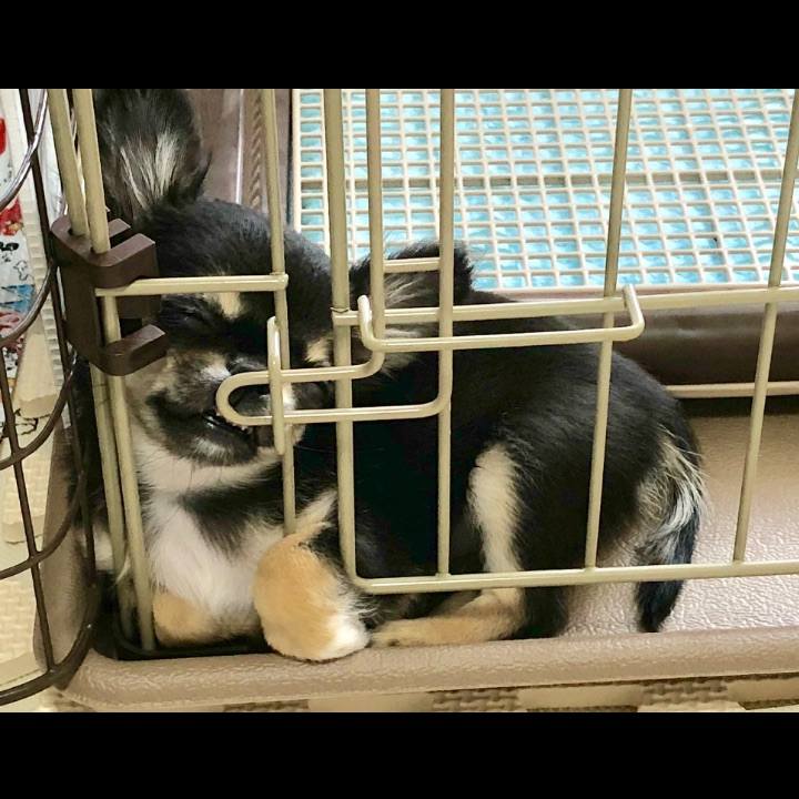 53702320 8044 4539 bdf5 0b6e8c0b7bd6 1587363454045