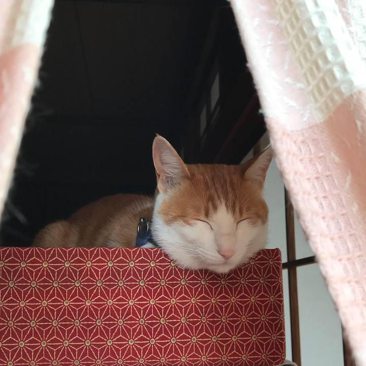 53702320 8ead 4a4b 964b 0f50e52d6dd8 1519964525912