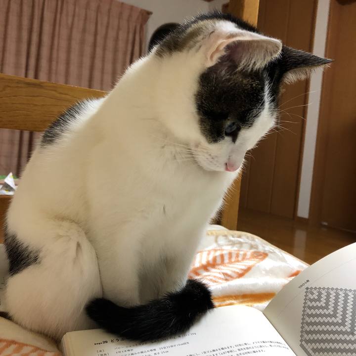 53704c84 7eca 4579 9fd8 8c7e6192480e 1610978898298