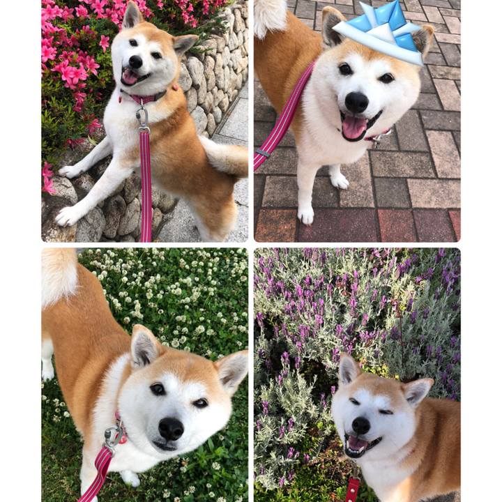 53704d7d 133e 4545 abe4 ebe6a8f230b4 1683253147749