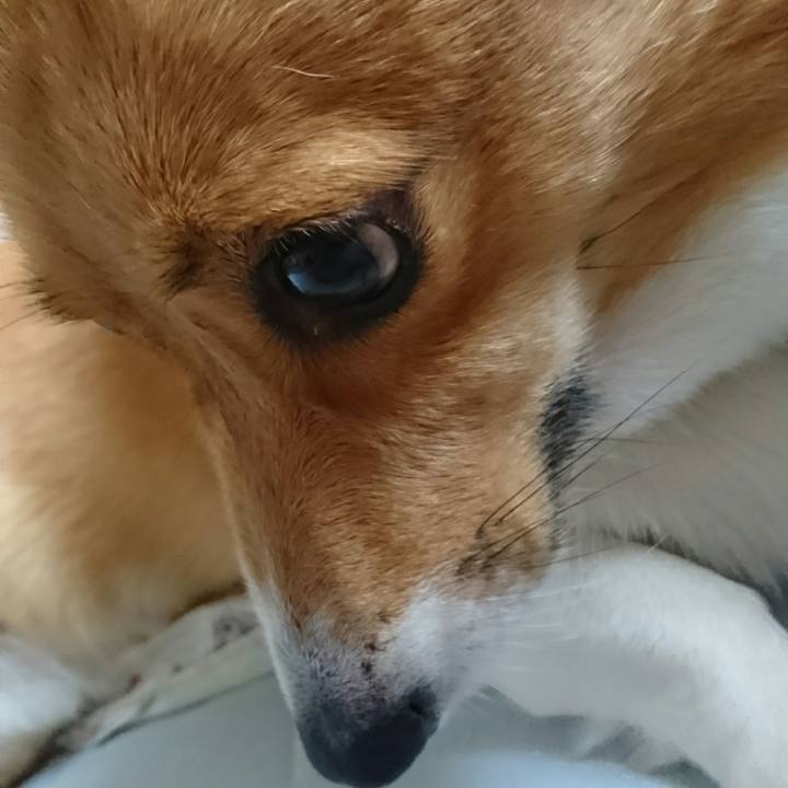 5370d4cf e29e 41c0 a816 5664f1794f4d 1508479522573