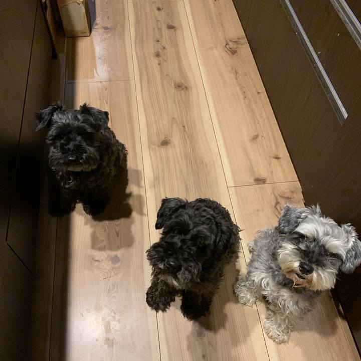 5370f174 cab4 4eef 9f95 0ba6812c5e3f 1590227163918