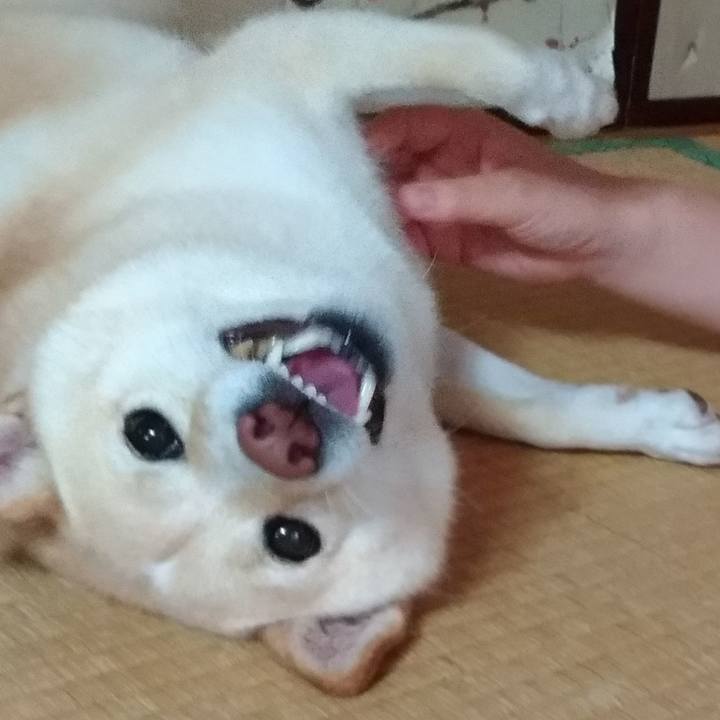 5371043b 3a08 4549 b5c6 bd065b6f5dc8 1599910741486