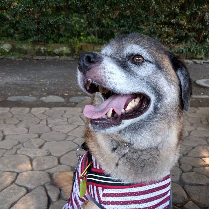 537104c1 1e4e 4cbc a885 bf2dcdfabdcd 1533079784017