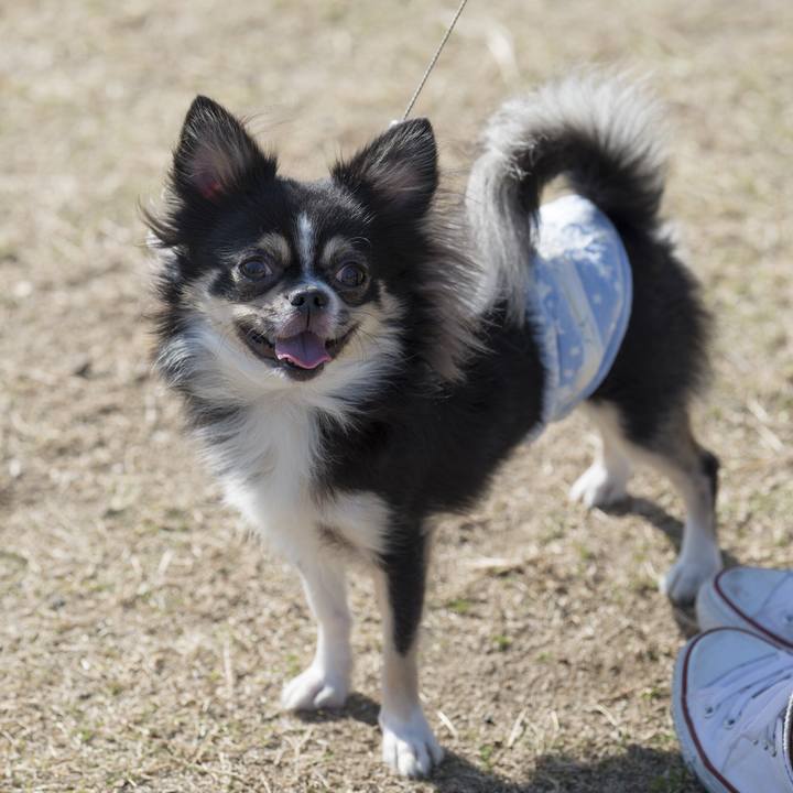 537104dc 6b78 46a5 9810 6dccf4215618 1542557610123