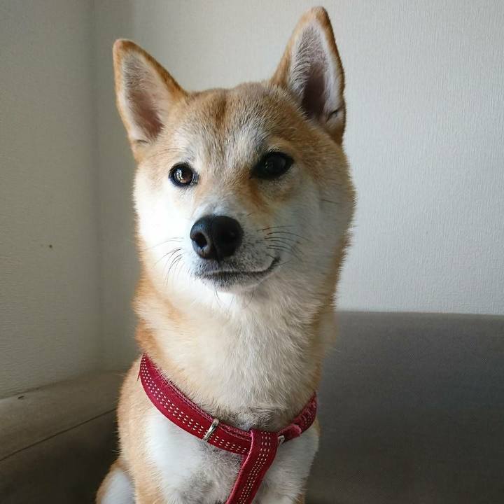 53712d48 b076 4fce a9e7 70fe4933f1e9 1519004677774