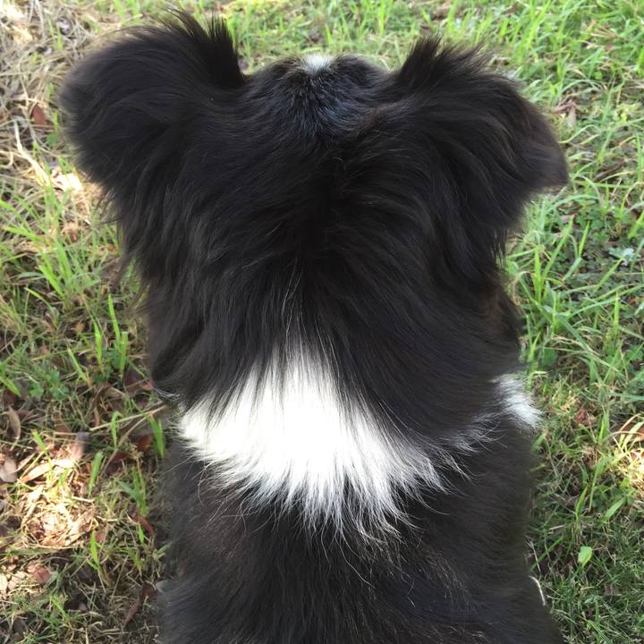 53714ca1 6447 4897 86f8 0ef729cbd56a 1537069341228