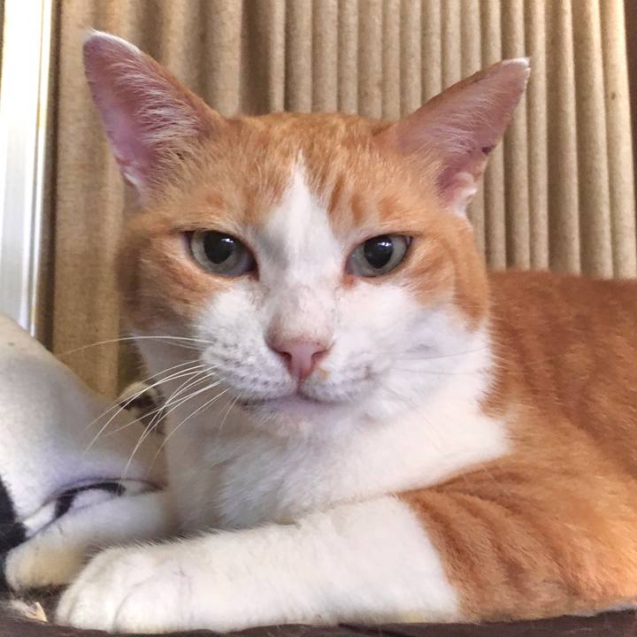 53716fc9 f560 4bdb b7d0 d0f1dedbbfdb 1593835083714