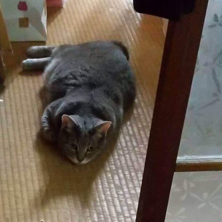 53719d02 4ce0 4a02 8f81 74c77225f9e4 1600649273499