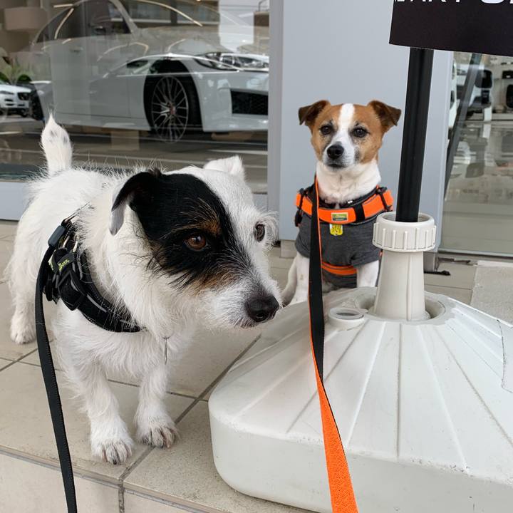 5371a691 4856 45a7 aff6 3271bfdeef65 1556855877070