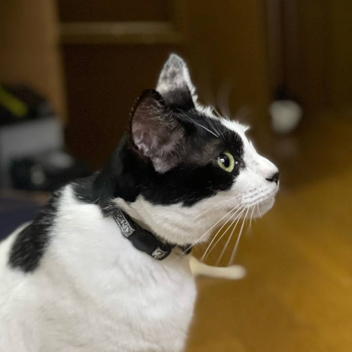 5371ad8d 8c7b 4ea3 987c 072772805092 1631503745382