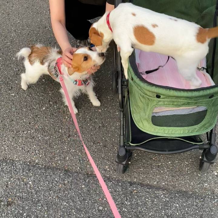 5371c891 bee4 463a 8a57 2dc359b7ea73 1695678894892