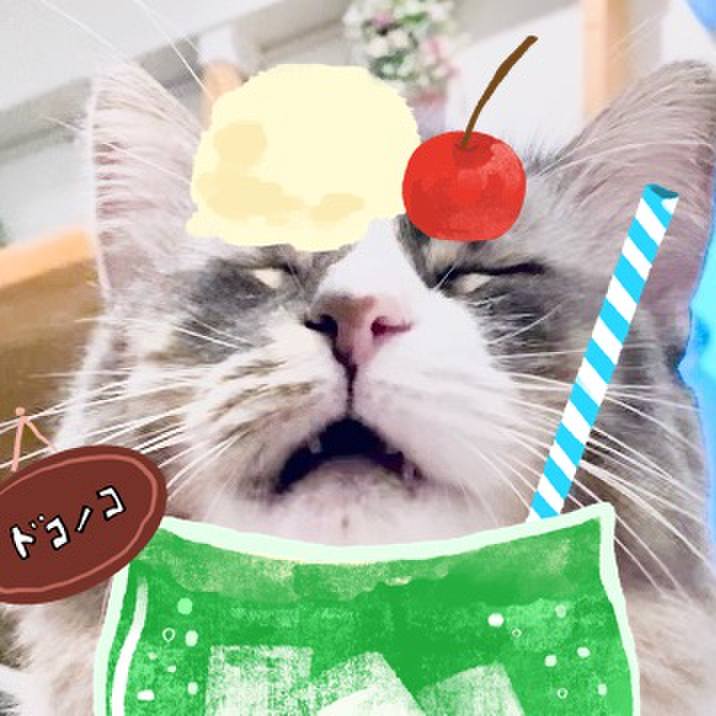 5371da17 193b 41f5 a5d4 a6c5c5a7214d 1755454778513