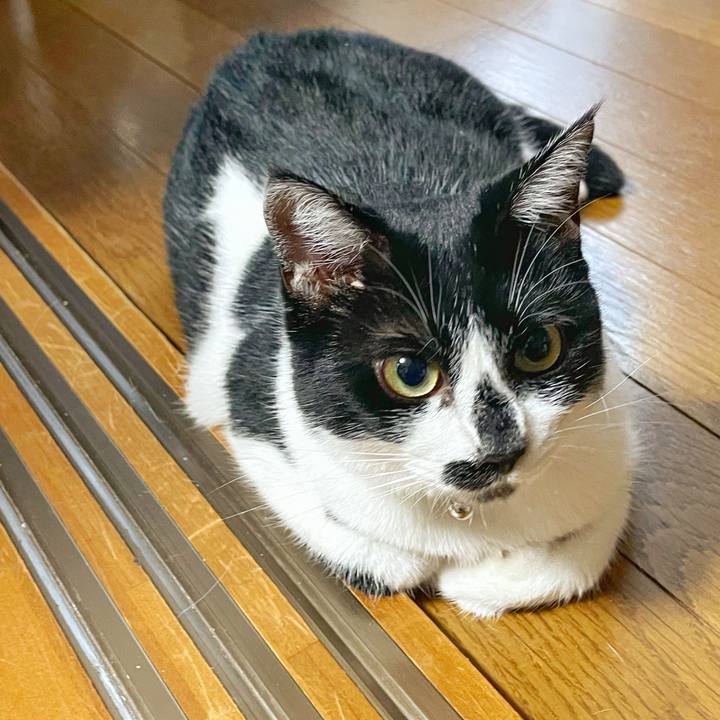 53721dfa cb70 445f 8728 441d1b5d8530 1753397571538