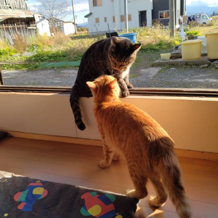 53723d4a 5547 4c57 9d8a 654eb7e3f86f 1667712103018