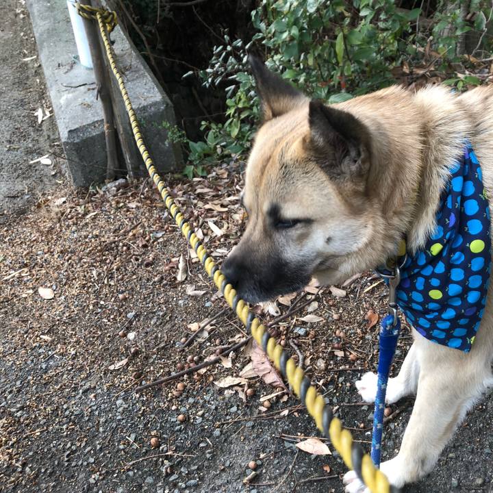 537244d8 7bb5 477e aeee 0a1461301347 1579333513350