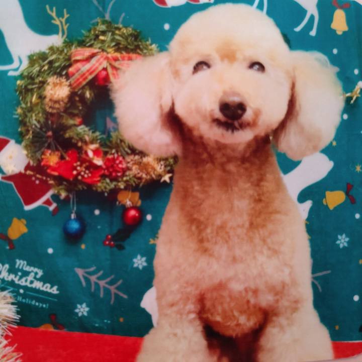 53725471 439d 481f 8b41 dac9bf9d31e7 1639286738383