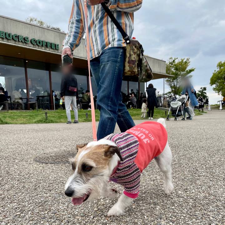 53725efa a0df 4d87 9e72 41358cee5593 1650178620800