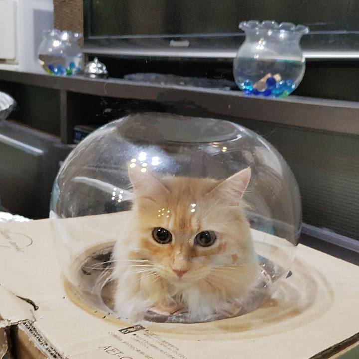 5372d76f cb6a 49e9 8090 fa993bd88ee1 1724107017870