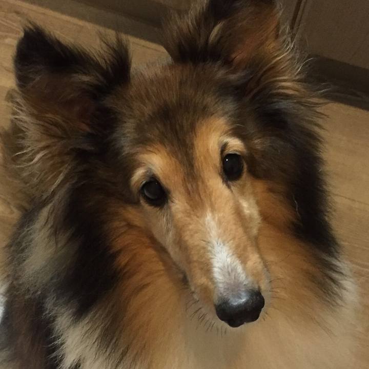 5373240a 932a 4fd5 8589 fa1b767f0e38 1520682030668