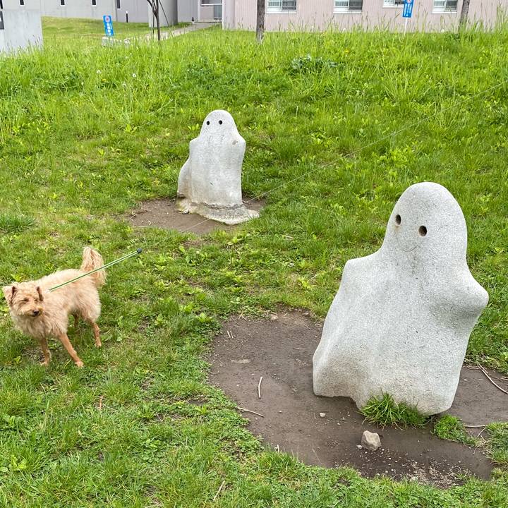 53734ab4 588e 4692 838f 0ad33d2d61aa 1622362433301