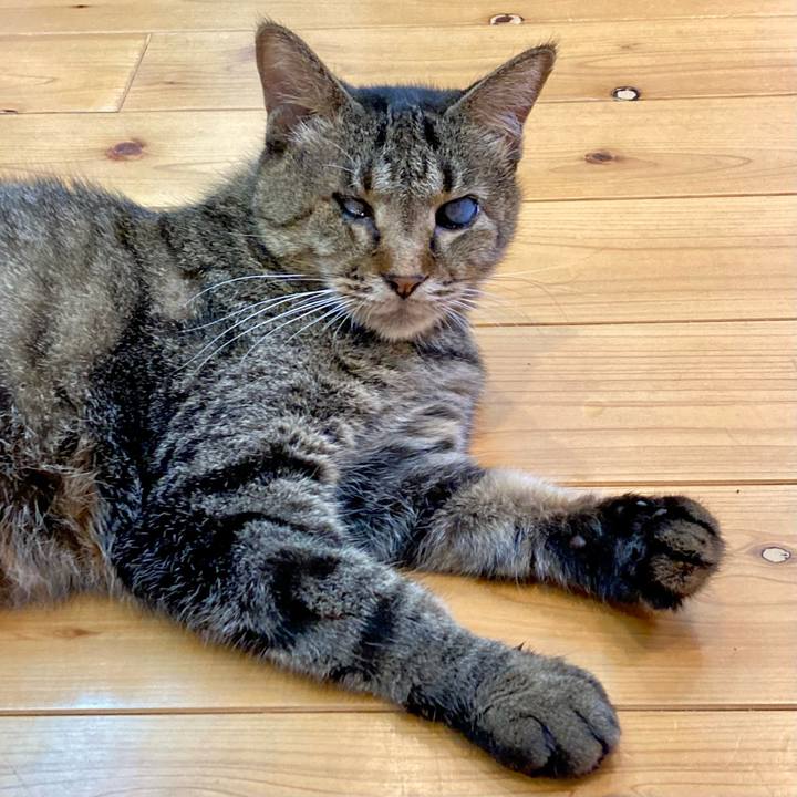 537395b2 0f5f 4543 a6f2 ea564a0ca12a 1661210697953