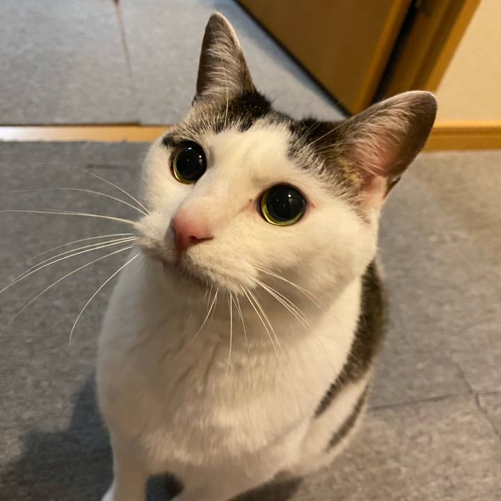 5373ab02 9892 452e 9763 680bc55b6588 1774237615027