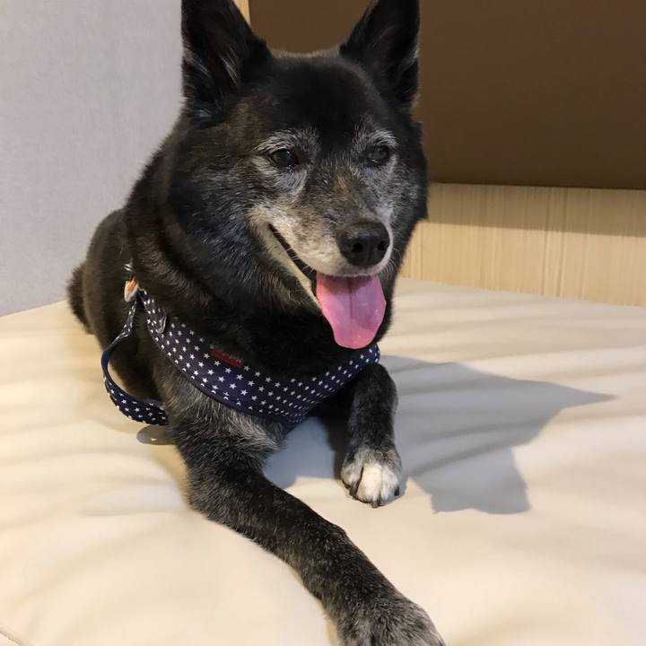 5373d62d 49e9 4fb9 94b8 f2bacf238b95 1559743389413