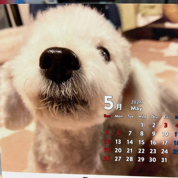 5373d6b9 e03f 46c5 b7af 8e88181ccef6 1715074303903