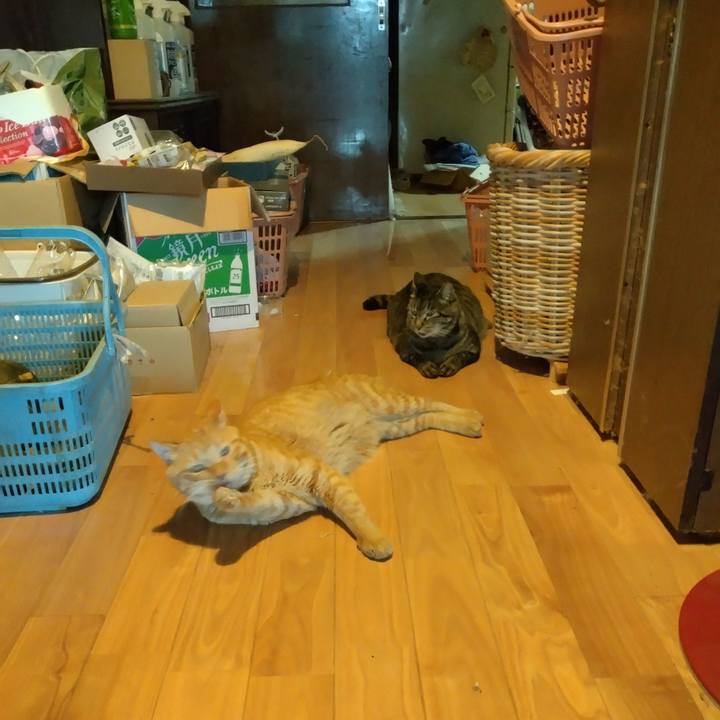 53742182 fde3 40fd bb6d 08e8bef27d16 1692870982245