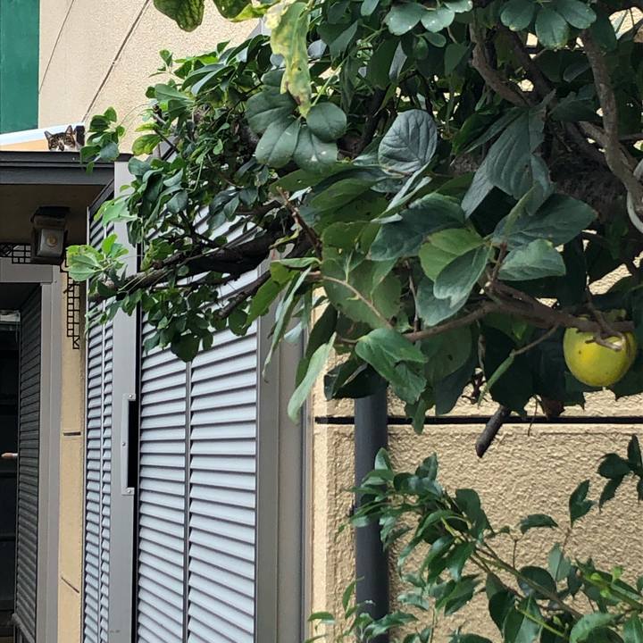 53743742 56c7 4856 a15c 6c699f41370b 1572728723890