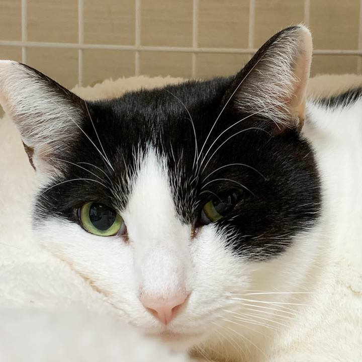 53744444 0024 45e1 a002 72b1f9aef0ec 1575684440942