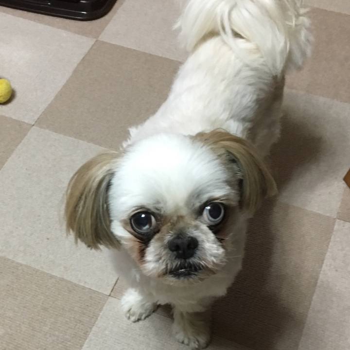 53744d95 26b5 4b49 8198 581780ca0d2c 1512475360301