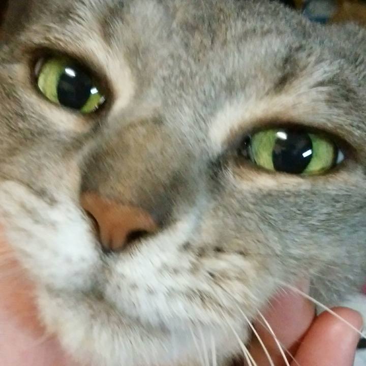 537475a0 8423 45e5 ac34 50b50efd2a7c 1562230787955